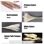 Pampas Grass Decor 110 pcs 17.5inch Natural Dried Pampas Grass-15Pcs White Pampas & 15Pcs Brown Pampas & 50Pcs Reed Grass& 30Pcs Bunny Tail Grass,Fluffy Dried Flowers for Home Decor Wedding Boho Decor
