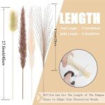 Pampas Grass Decor 110 pcs 17.5inch Natural Dried Pampas Grass-15Pcs White Pampas & 15Pcs Brown Pampas & 50Pcs Reed Grass& 30Pcs Bunny Tail Grass,Fluffy Dried Flowers for Home Decor Wedding Boho Decor