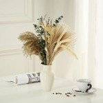 Musunny Dried Flowers Bouquet, 17" Dried Pampas Grass Decor Inc Lavender Eucalyptus DIY Floral Arrangements for Home Office Decoration,Wedding centerpieces
