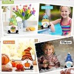 Blulu Interchangeable Wooden Gnome Decor DIY Holiday Spring Easter Summer Day Seasonal Tiered Tray Decoration with Magnet Gnomes Pieces Welcome Sign for Decorations(Cute)