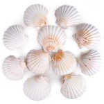 8 PCS 4-4.5 Inch Natural White Scallop Shells Sea Shells for DIY Craft Home Décor