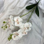 2 Branch butterfly orchid With Leaf Artificial Flower Real Touch Fake Flower Wedding decoration Props Home Tabel Interior Decory