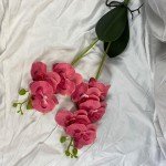 2 Branch butterfly orchid With Leaf Artificial Flower Real Touch Fake Flower Wedding decoration Props Home Tabel Interior Decory