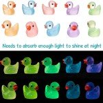50/100PCS Luminous Mini Ducks Moss Microlandscape Miniature Duck Figurines Fairy Garden Accessories Home Decor Glow in The Dark
