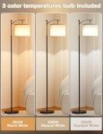 Adjustable 60" Floor Lamp with 3 Color Temperatures