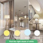 Daylight LED Light Bulbs 5000K, 12 Pack