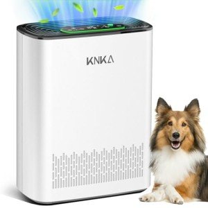 KNKA HEPA Air Purifier for Large Rooms