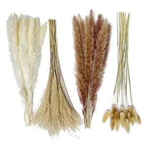 Pampas Grass Decor 110 pcs 17.5inch Natural Dried Pampas Grass-15Pcs White Pampas & 15Pcs Brown Pampas & 50Pcs Reed Grass& 30Pcs Bunny Tail Grass,Fluffy Dried Flowers for Home Decor Wedding Boho Decor