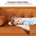 Elegant Velvet Mid-Century Sofa with Pillows