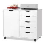 5-Drawer Wood Dresser Chest with Door Storage