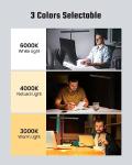LED Desk Lamp with Adjustable Gooseneck and Touch Control