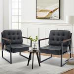 Set of 2 Mid Century Modern Accent Chairs