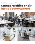 Ergonomic Mesh Office Chair with Lumbar Support
