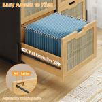 Lateral 4 Drawer File Cabinet for Home Office