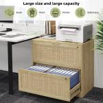 2-Drawer Locking File Cabinet with Printer Stand