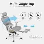 Ergonomic Office Massage Chair with Footrest: 4D Headrest & 5D Armrests, Lumbar Support, Big and Tall Mesh Chair 400LBS for Computer Home Office Desk, Reclining Swivel Rolling Chairs (Gray)