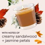 Glade 1-Wick Scented Candle Jar, Cashmere Woods, Air Freshener Infused with Essential Oils, 4.08 Oz, 2 Count