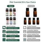 10Ml Essential Oil Fruit Flavor Natural Plant Making Diffuser Essential Oil Mango Pineapple Flavoring Oil for DIY Soap Candles