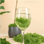50g Fake Moss DIY Crafts Grass Artificial Moss Faux Preserved Moss Green Plants Home Room Garden Decor Mini Landscape Fake Grass
