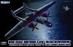 Great Wall   1/48  L4810 US Air Force P-61B Black Widow fighter assembly aircraft  Scale Model Kit