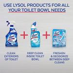 Lysol Toilet Bowl Cleaner Gel, For Cleaning and Disinfecting, Stain Removal, Forest Rain Scent, 24oz