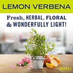 MRS. MEYER'S CLEAN DAY All-Purpose Cleaner Spray, Lemon Verbena, 16 fl. oz