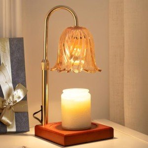 Dimmable Candle Warmer Lamp with Timer