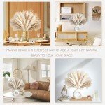 70PCS Dried Pampas Grass for Boho Decor