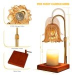 Dimmable Candle Warmer Lamp with Timer