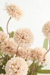 Floroom 5pcs Faux Silk Pompon Mum Artificial Flowers, Bulk Fake Mini Chrysanthemums with Stems for DIY Bouquet Centerpieces Wedding Fillers Champagne Arrangements Shower Decorations, Beige