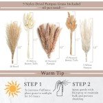 VELOVA Set of 3 White Ceramic Vase with 65 PCS Dried Pampas Grass Flowers Aesthetic Boho Modern Small Round Cute Vases for Decor Living Room Coffee Table Shelf Bedroom Office Desk Home Gifts Women Mom