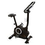 Sunny Health & Fitness Upright Exercise Bike with Electromagnetic Resistance, Programmable Monitor and Pulse Rate Monitoring - SF-B2883