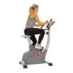 Sunny Health & Fitness Stationary Upright Exercise Bike with Performance Monitor, Device Holder, 275 LB Max User Weight with Body Fat and BMI Calculator - SF-B2952
