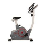 Sunny Health & Fitness Stationary Upright Exercise Bike with Performance Monitor, Device Holder, 275 LB Max User Weight with Body Fat and BMI Calculator - SF-B2952