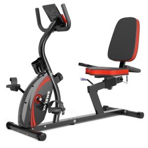 Vanswe Recumbent Exercise Bike for Adults Seniors - For Home Workout with 16 Levels Resistance, 380 lbs Weight Capacity, Bluetooth Connectivity and Pulse Sensor RB661(Red)