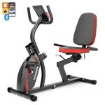 Vanswe Recumbent Exercise Bike for Adults Seniors - For Home Workout with 16 Levels Resistance, 380 lbs Weight Capacity, Bluetooth Connectivity and Pulse Sensor RB661(Red)
