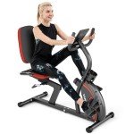 Vanswe Recumbent Exercise Bike for Adults Seniors - For Home Workout with 16 Levels Resistance, 380 lbs Weight Capacity, Bluetooth Connectivity and Pulse Sensor RB661(Red)