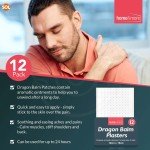 12pk Dragon Balm Herbal Patches Pain Relief Patch Heat Plaster Back Knee Muscle