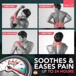 12pk Dragon Balm Herbal Patches Pain Relief Patch Heat Plaster Back Knee Muscle