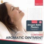 12pk Dragon Balm Herbal Patches Pain Relief Patch Heat Plaster Back Knee Muscle