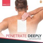 12pk Dragon Balm Herbal Patches Pain Relief Patch Heat Plaster Back Knee Muscle