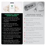 Essential Amino Acids - All 9 EAA Amino Acids with All 3 BCAA's Plus 6 More EAAs to Build and Repair Muscle | 300 Tablets / 60 Servings | 5-10g per Serving | High in Leucine and Vegan Friendly