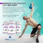 Zinc and Magnesium Tablets Supplement with Added Vitamin B6 by Opal Fitness - Sports Performance and Recovery Formula - GMO Free - Vegetarian & Vegan Friendly - 120 Tablets