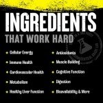 Animal Pak - Convenient All-in-One Vitamin & Supplement Pack - Zinc, Vitamins C, B, D, Amino Acids and More - Sports Nutrition Performance Multivitamin for Women & Men - 30 Count