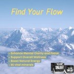 Flow Supplements Shilajit Resin 30g - Pure Shilajit with Fulvic & Humic Acid, Himalayan Shilajit for Testosterone Boosting, Nootropic Minerals - Ideal for Fitness, Health-Conscious Adults