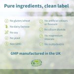 Igennus Methylated Men's Multivitamin, 22 Slow Release Highly Bioavailable Nutrients, Active B-Vitamins, Clean Label, MTHFR Supplement, Energy & Heart Health, 60 Easy-to-Swallow Vegan Tablets