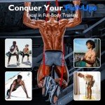 FitBeast Resistance Bands Set, 5 Different Levels, Pull Up Assist Bands for Strength Training, Crossfit, Powerlifting, Muscle Toning, Mobility Exercises, Full-Body Workout (Vibrant 5-125 lbs)