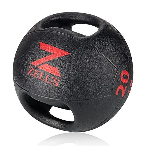 Zelus