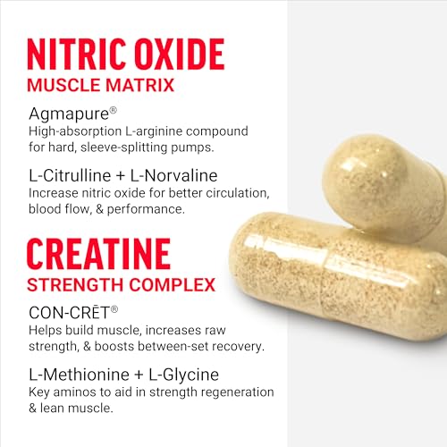 Volcano Nitric Oxide Pre Workout Supplement for Men