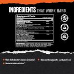 Animal Pump Preworkout for Energy & Focus